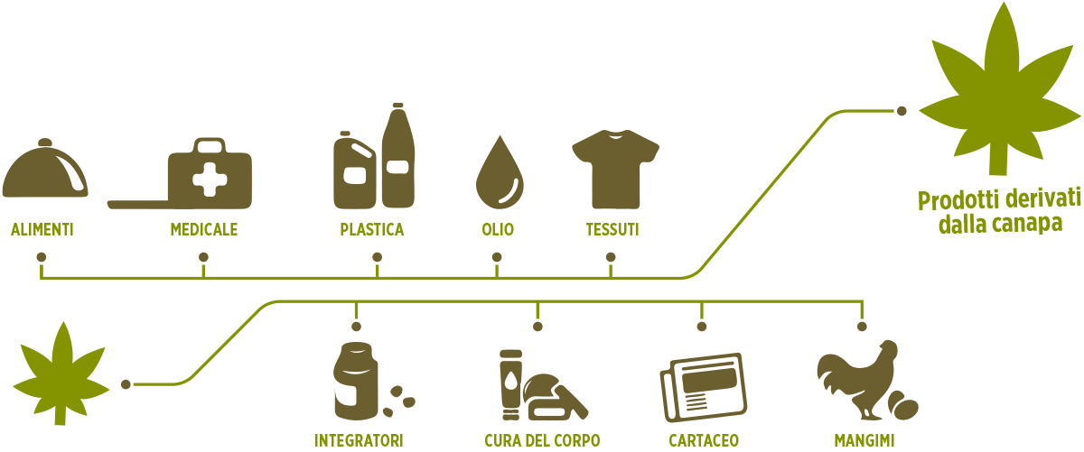 Prodotti derivati dalla canapa